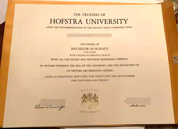 Found the fake credentials from Hofstra university