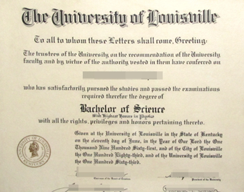 An undergraduate degree from the University of Louisville, buying fake certificates