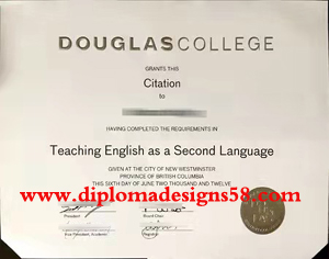 What should I do to get a fake Douglas College diploma quickly?