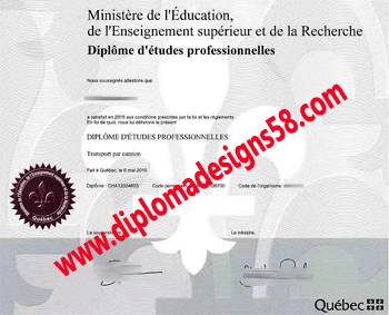 Where can I buy fake Diplome d 'Etudes Professionnelles in France?