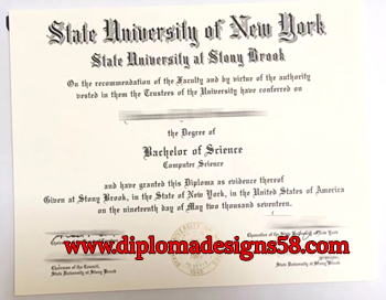 I want to quickly purchase a fake degree from New York University at Stony Brook.