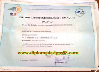 Purchase the DELFDALF C2 certificate. Real copy of DELFDALF C2 certificate.