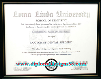 How much does it cost to buy a fake diploma from Loma Linda University in the United States?